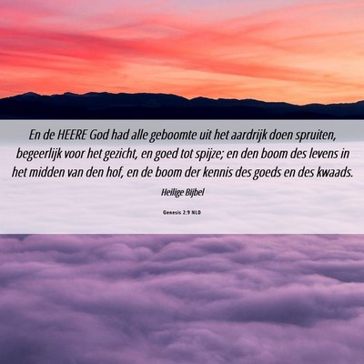Picture 06 - Genesis 2:9 NLD - En de HEERE God had alle geboomte uit het - Bible Verse Picture