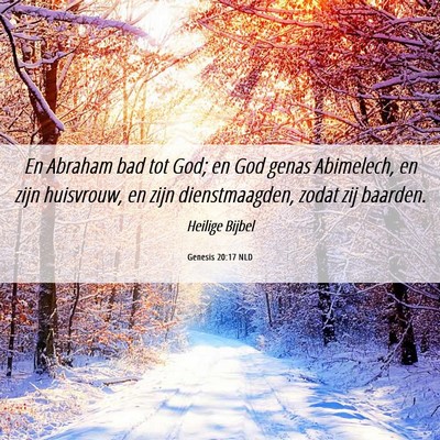 Picture 06 - Genesis 20:17 NLD - En Abraham bad tot God; en God genas Abimelech, - Bible Verse Picture
