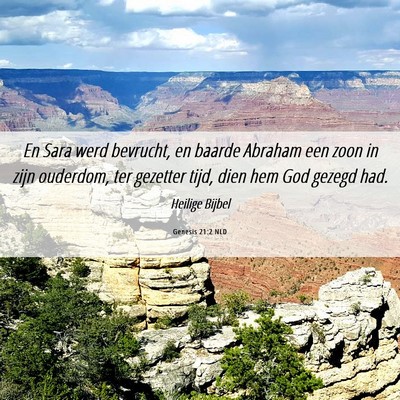 Picture 06 - Genesis 21:2 NLD - En Sara werd bevrucht, en baarde Abraham een zoon - Bible Verse Picture