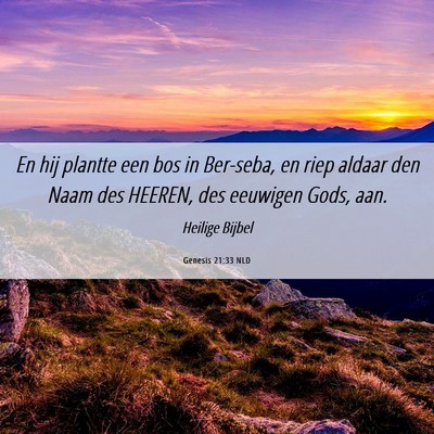 Picture 06 - Genesis 21:33 NLD - En hij plantte een bos in Ber-seba, en riep - Bible Verse Picture