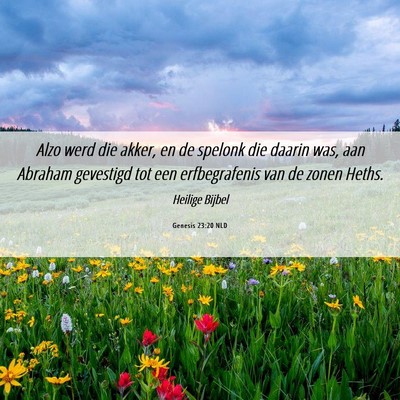 Picture 06 - Genesis 23:20 NLD - Alzo werd die akker, en de spelonk die daarin - Bible Verse Picture