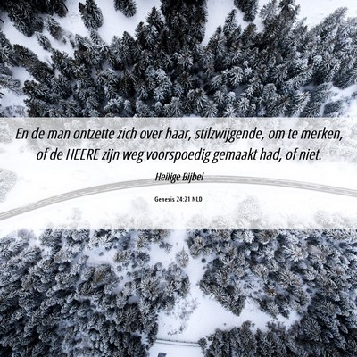 Picture 06 - Genesis 24:21 NLD - En de man ontzette zich over haar, stilzwijgende, - Bible Verse Picture