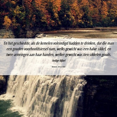 Picture 06 - Genesis 24:22 NLD - En het geschiedde, als de kemelen voleindigd - Bible Verse Picture