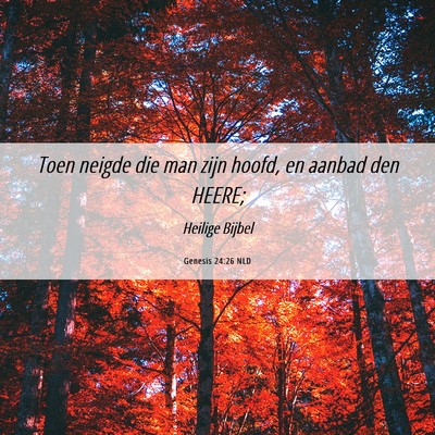 Picture 06 - Genesis 24:26 NLD - Toen neigde die man zijn hoofd, en aanbad den - Bible Verse Picture