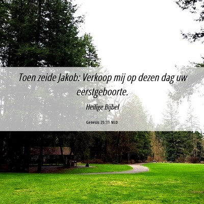 Picture 06 - Genesis 25:31 NLD - Toen zeide Jakob: Verkoop mij op dezen dag uw - Bible Verse Picture