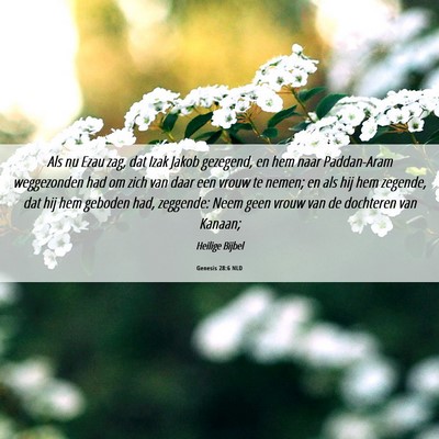 Picture 06 - Genesis 28:6 NLD - Als nu Ezau zag, dat Izak Jakob gezegend, en hem - Bible Verse Picture