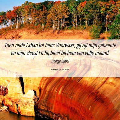 Picture 06 - Genesis 29:14 NLD - Toen zeide Laban tot hem: Voorwaar, gij zijt mijn - Bible Verse Picture
