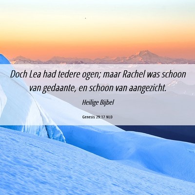 Picture 06 - Genesis 29:17 NLD - Doch Lea had tedere ogen; maar Rachel was schoon - Bible Verse Picture