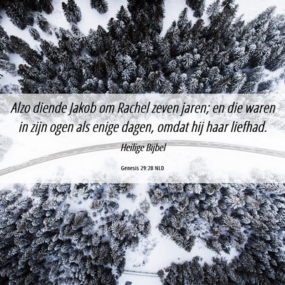 Picture 06 - Genesis 29:20 NLD - Alzo diende Jakob om Rachel zeven jaren; en die - Bible Verse Picture