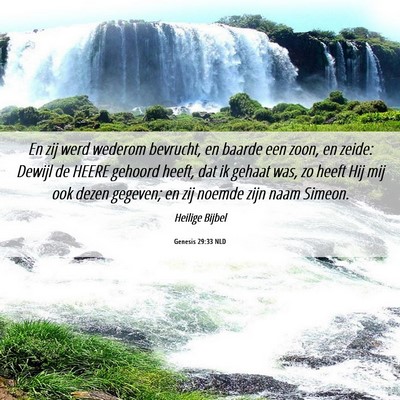 Picture 06 - Genesis 29:33 NLD - En zij werd wederom bevrucht, en baarde een zoon, - Bible Verse Picture