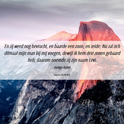 Picture 06 - Genesis 29:34 NLD - En zij werd nog bevrucht, en baarde een zoon, en - Bible Verse Picture
