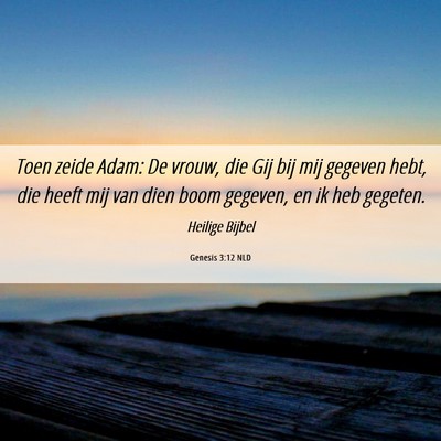 Picture 06 - Genesis 3:12 NLD - Toen zeide Adam: De vrouw, die Gij bij mij - Bible Verse Picture
