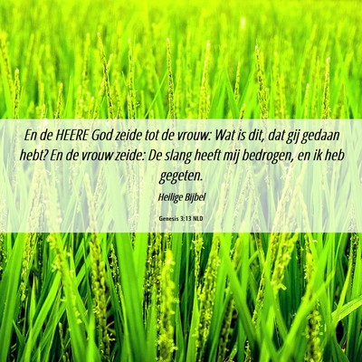 Picture 06 - Genesis 3:13 NLD - En de HEERE God zeide tot de vrouw: Wat is dit, - Bible Verse Picture