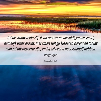 Picture 06 - Genesis 3:16 NLD - Tot de vrouw zeide Hij: Ik zal zeer - Bible Verse Picture