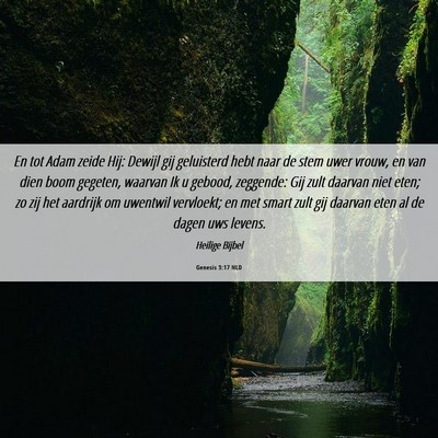 Picture 06 - Genesis 3:17 NLD - En tot Adam zeide Hij: Dewijl gij geluisterd hebt - Bible Verse Picture