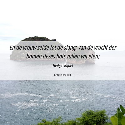 Picture 06 - Genesis 3:2 NLD - En de vrouw zeide tot de slang: Van de vrucht der - Bible Verse Picture