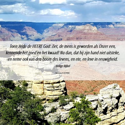 Picture 06 - Genesis 3:22 NLD - Toen zeide de HEERE God: Ziet, de mens is - Bible Verse Picture
