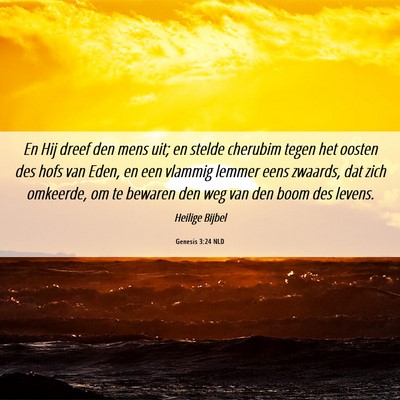 Picture 06 - Genesis 3:24 NLD - En Hij dreef den mens uit; en stelde cherubim - Bible Verse Picture
