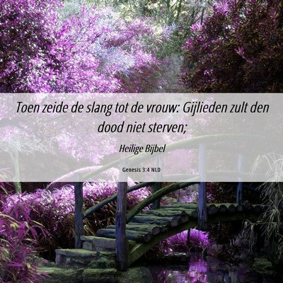 Picture 06 - Genesis 3:4 NLD - Toen zeide de slang tot de vrouw: Gijlieden zult - Bible Verse Picture