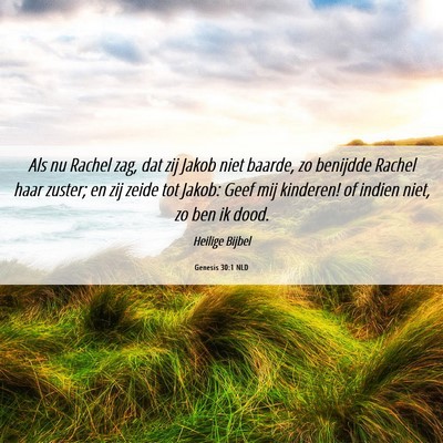 Picture 06 - Genesis 30:1 NLD - Als nu Rachel zag, dat zij Jakob niet baarde, zo - Bible Verse Picture