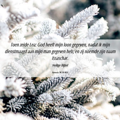 Picture 06 - Genesis 30:18 NLD - Toen zeide Lea: God heeft mijn loon gegeven, - Bible Verse Picture
