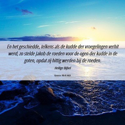 Picture 06 - Genesis 30:41 NLD - En het geschiedde, telkens als de kudde der - Bible Verse Picture