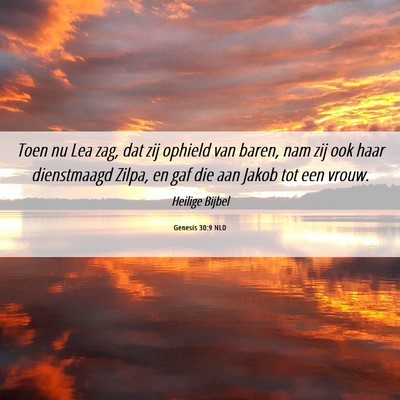 Picture 06 - Genesis 30:9 NLD - Toen nu Lea zag, dat zij ophield van baren, nam - Bible Verse Picture