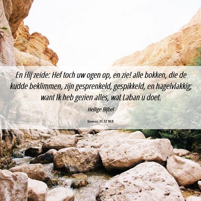 Picture 06 - Genesis 31:12 NLD - En Hij zeide: Hef toch uw ogen op, en zie! alle - Bible Verse Picture