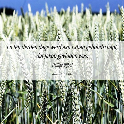 Picture 06 - Genesis 31:22 NLD - En ten derden dage werd aan Laban geboodschapt, - Bible Verse Picture