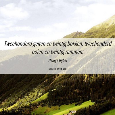 Picture 06 - Genesis 32:14 NLD - Tweehonderd geiten en twintig bokken, tweehonderd - Bible Verse Picture