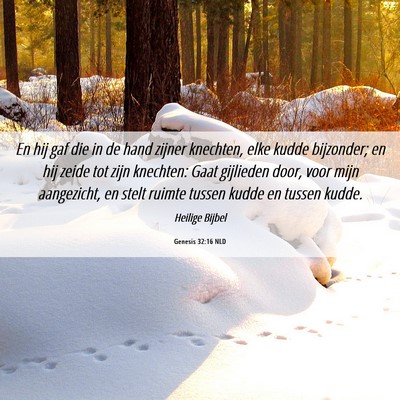 Picture 06 - Genesis 32:16 NLD - En hij gaf die in de hand zijner knechten, elke - Bible Verse Picture