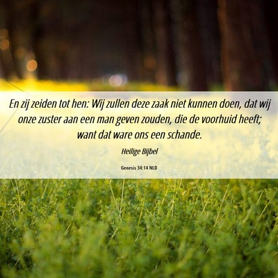 Picture 06 - Genesis 34:14 NLD - En zij zeiden tot hen: Wij zullen deze zaak niet - Bible Verse Picture