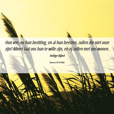 Picture 06 - Genesis 34:23 NLD - Hun vee, en hun bezitting, en al hun beesten, - Bible Verse Picture