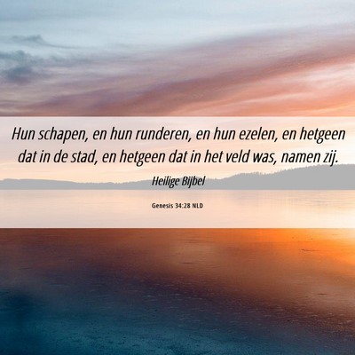 Picture 06 - Genesis 34:28 NLD - Hun schapen, en hun runderen, en hun ezelen, en - Bible Verse Picture