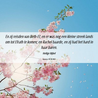 Picture 06 - Genesis 35:16 NLD - En zij reisden van Beth-El; en er was nog een - Bible Verse Picture