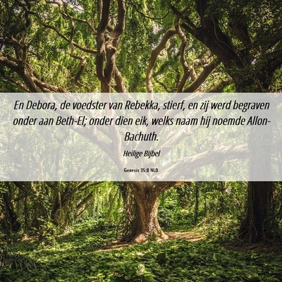 Picture 06 - Genesis 35:8 NLD - En Debora, de voedster van Rebekka, stierf, en - Bible Verse Picture