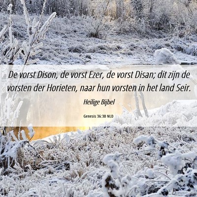 Picture 06 - Genesis 36:30 NLD - De vorst Dison, de vorst Ezer, de vorst Disan; - Bible Verse Picture