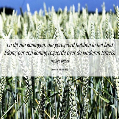Picture 06 - Genesis 36:31 NLD - En dit zijn koningen, die geregeerd hebben in het - Bible Verse Picture