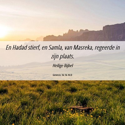 Picture 06 - Genesis 36:36 NLD - En Hadad stierf, en Samla, van Masreka, regeerde - Bible Verse Picture