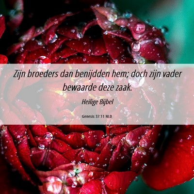 Picture 06 - Genesis 37:11 NLD - Zijn broeders dan benijdden hem; doch zijn vader - Bible Verse Picture