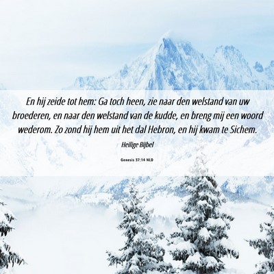Picture 06 - Genesis 37:14 NLD - En hij zeide tot hem: Ga toch heen, zie naar den - Bible Verse Picture