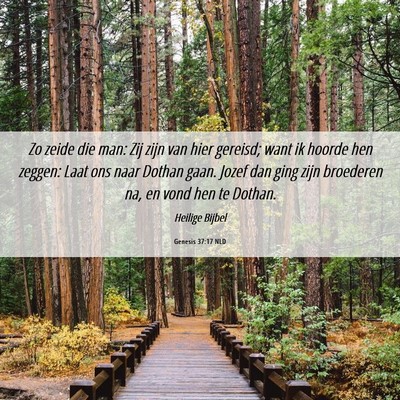 Picture 06 - Genesis 37:17 NLD - Zo zeide die man: Zij zijn van hier gereisd; want - Bible Verse Picture