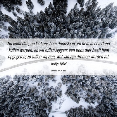 Picture 06 - Genesis 37:20 NLD - Nu komt dan, en laat ons hem doodslaan, en hem in - Bible Verse Picture