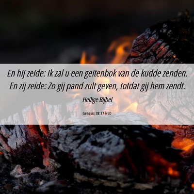 Picture 06 - Genesis 38:17 NLD - En hij zeide: Ik zal u een geitenbok van de kudde - Bible Verse Picture