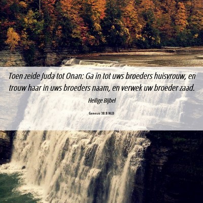 Picture 06 - Genesis 38:8 NLD - Toen zeide Juda tot Onan: Ga in tot uws broeders - Bible Verse Picture