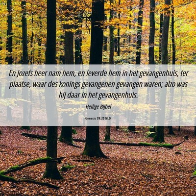 Picture 06 - Genesis 39:20 NLD - En Jozefs heer nam hem, en leverde hem in het - Bible Verse Picture