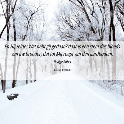 Picture 06 - Genesis 4:10 NLD - En Hij zeide: Wat hebt gij gedaan? daar is een - Bible Verse Picture