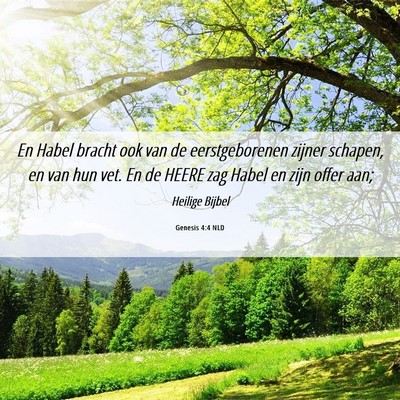 Picture 06 - Genesis 4:4 NLD - En Habel bracht ook van de eerstgeborenen zijner - Bible Verse Picture