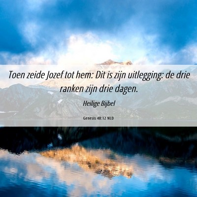Picture 06 - Genesis 40:12 NLD - Toen zeide Jozef tot hem: Dit is zijn uitlegging: - Bible Verse Picture