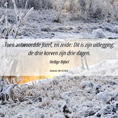 Picture 06 - Genesis 40:18 NLD - Toen antwoordde Jozef, en zeide: Dit is zijn - Bible Verse Picture